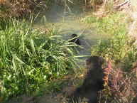 Erste Wasserber�hrung