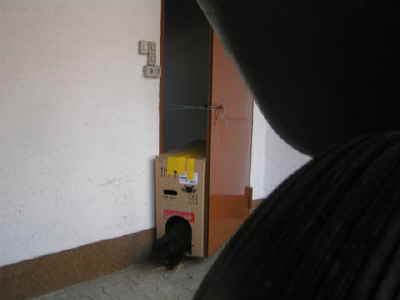 Der gro�e St. Gotthart